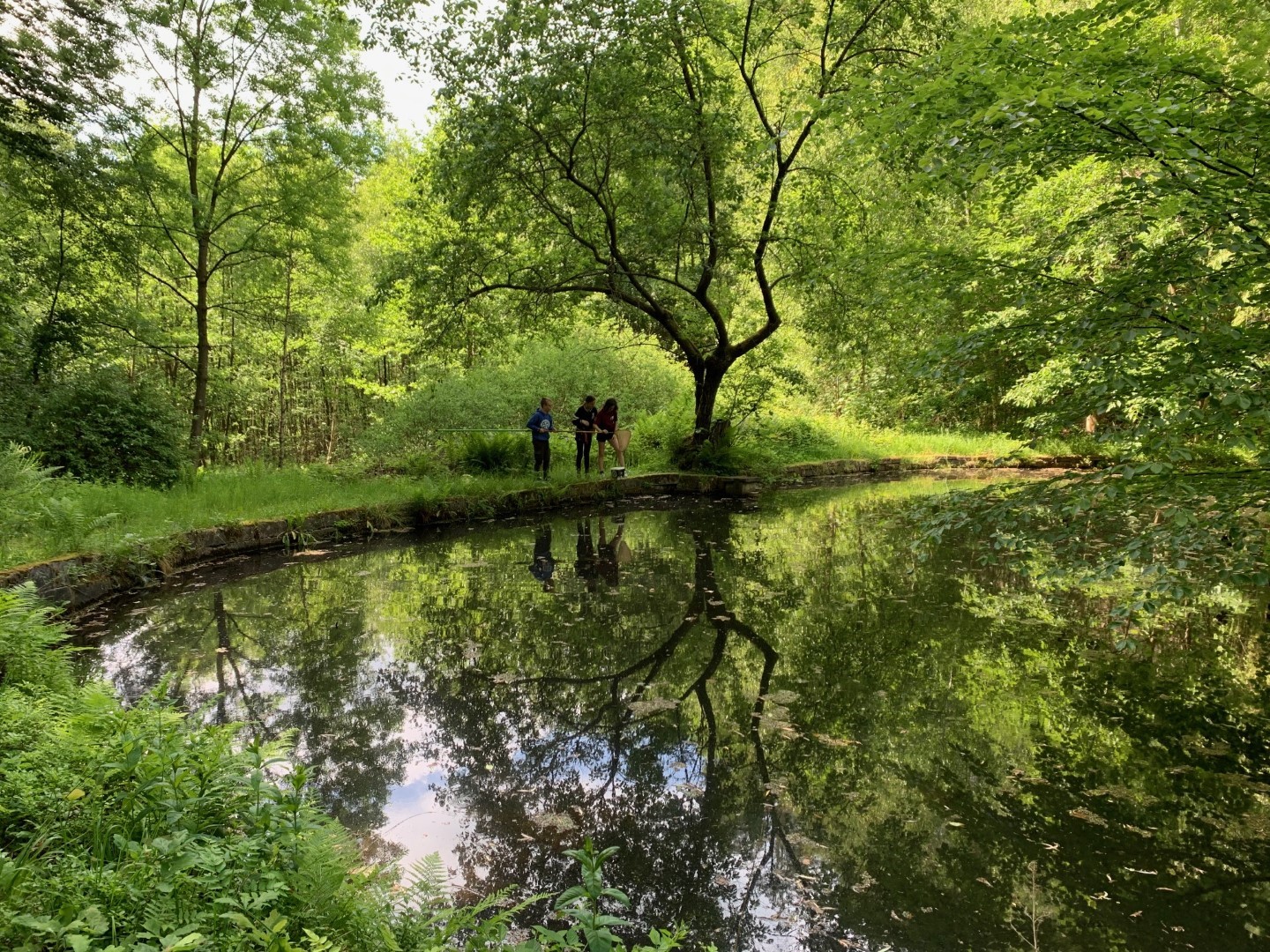 Auf den Spuren des Feuersalamanders