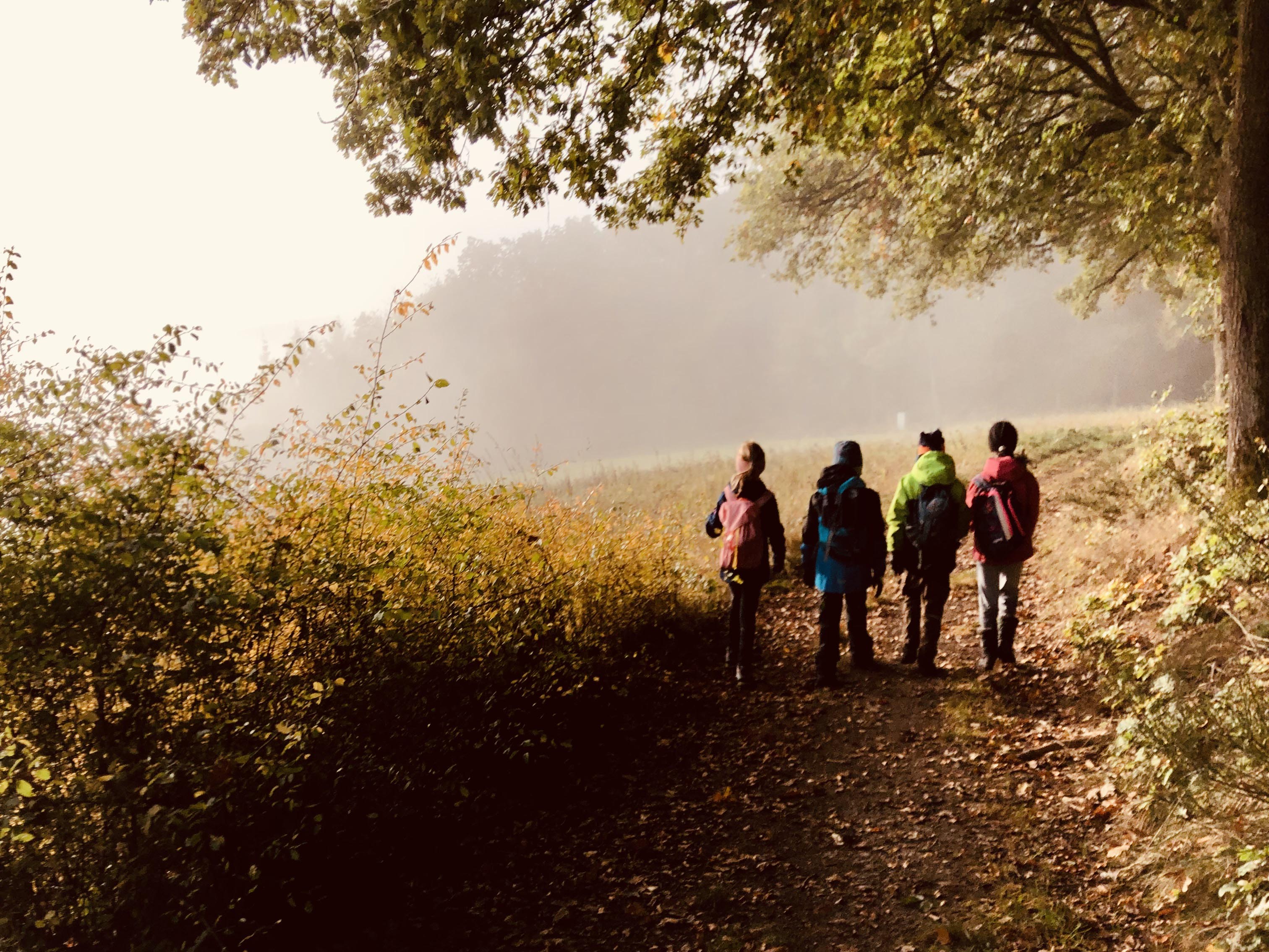 Wir gehen in den Wald! Kooperation Lubo - Soziales Lernen im Jahrgang 2