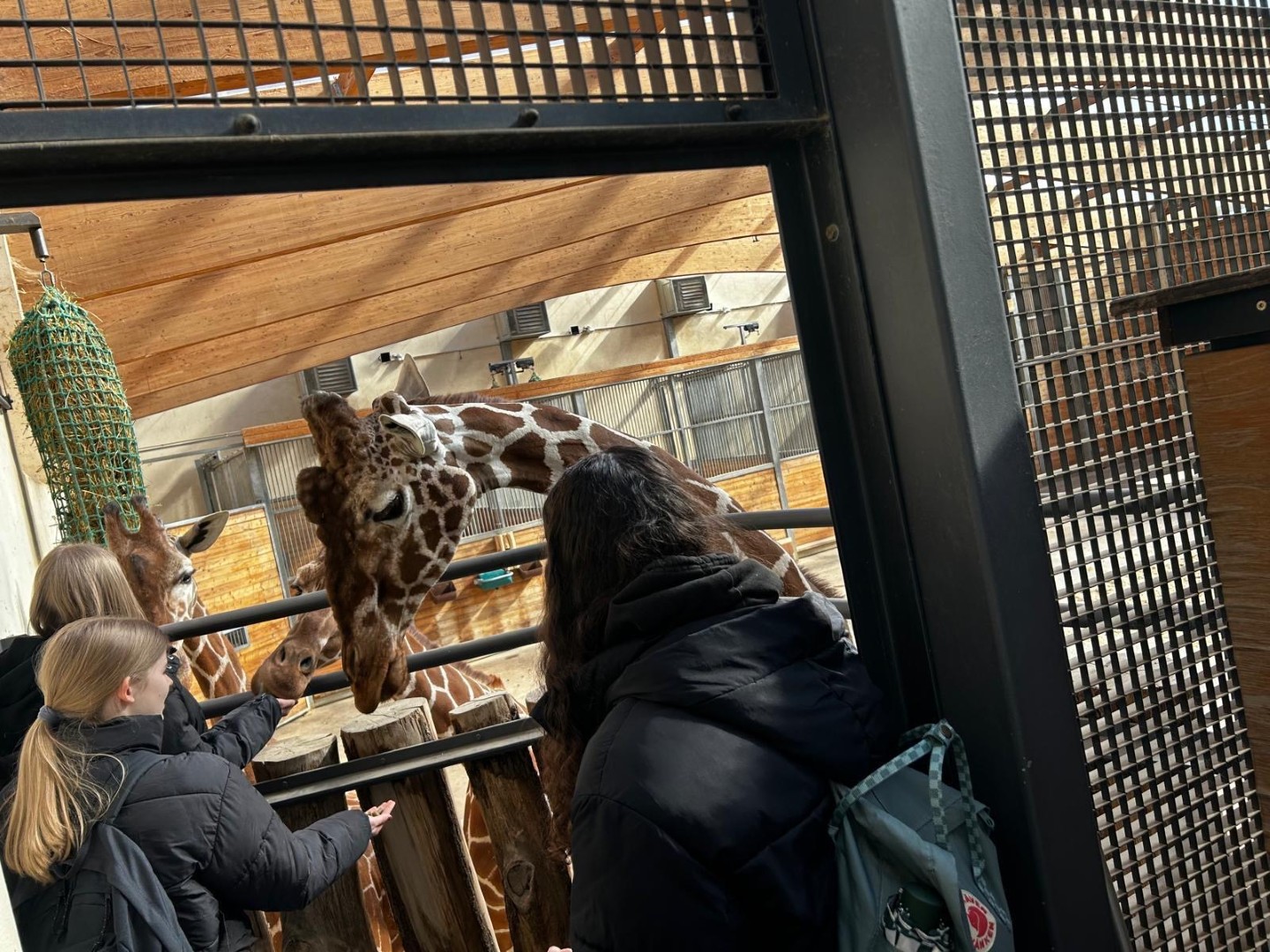 „Wir stärken Mädchen